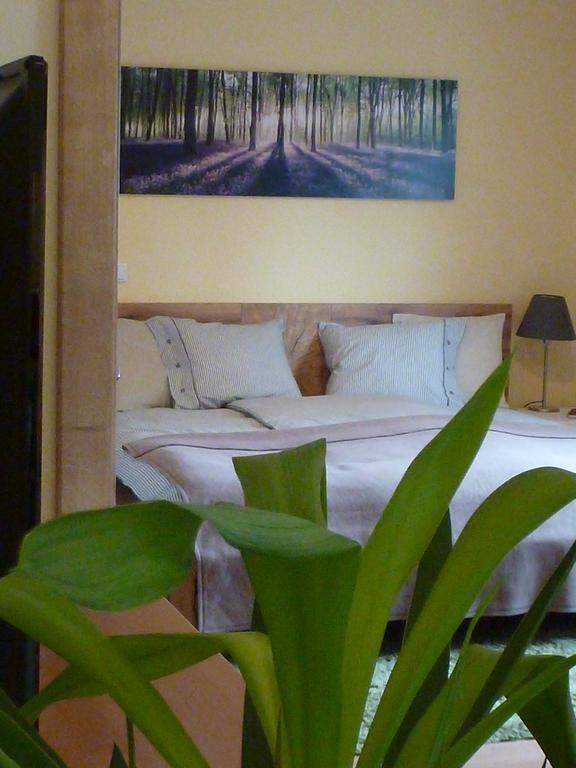 זלצבורג Apartment Klessheim מראה חיצוני תמונה